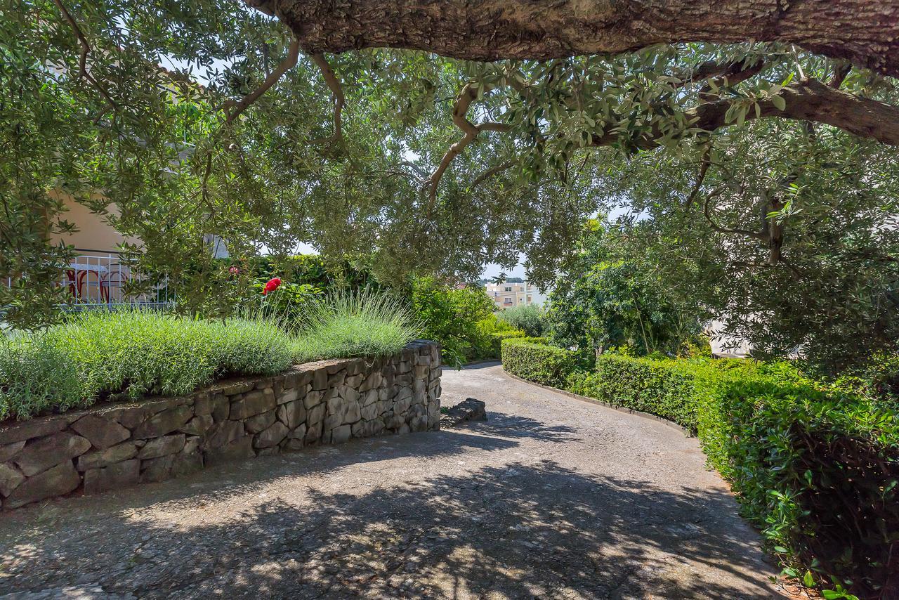 Apartment Manuela Makarska Exterior foto